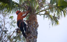 Proper Tree Pruning